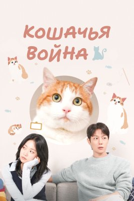 Кошачья война